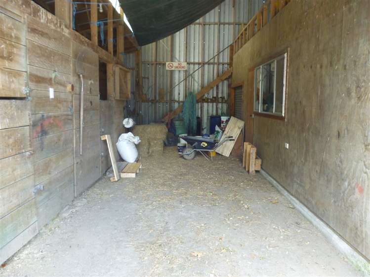 1375 Mcclure Street Pirongia_18