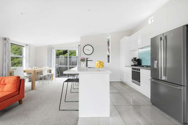 19j Kabul Street Khandallah_1