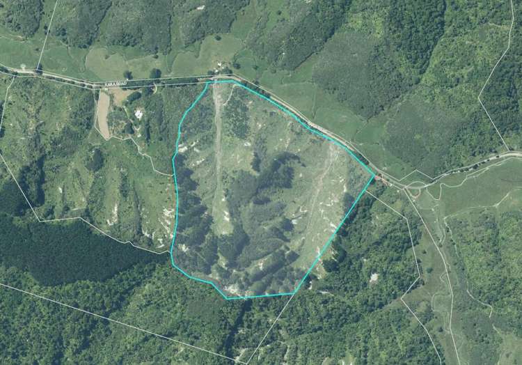 328B Kaka Road Okoki_12