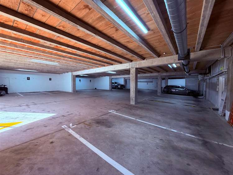 22 Dundonald Street Eden Terrace_9