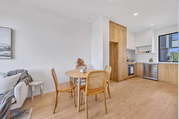 15/ 11 Tamaota Terrace_3