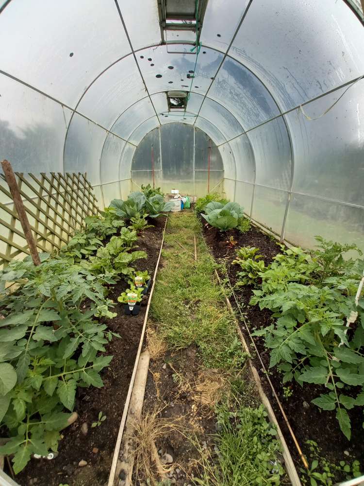 16 Annan Street Nightcaps_12