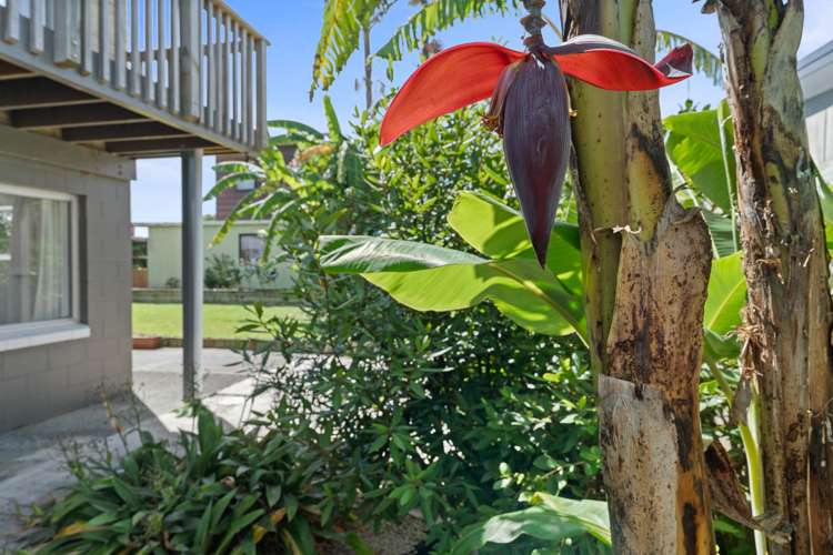 3/1975 Ngunguru Road Ngunguru_17