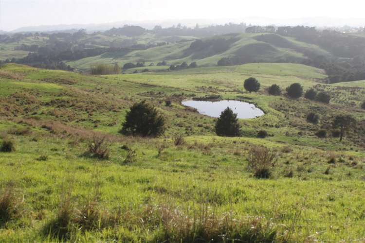 1311 State Highway 12 Maungaturoto_6