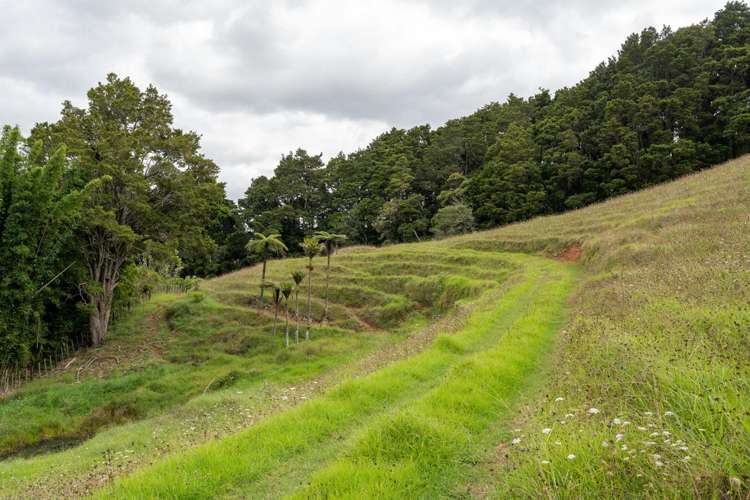 229 Hupara Road Pakaraka_11