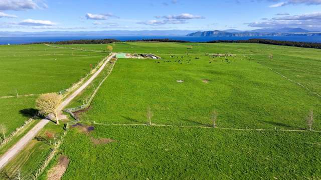 550 Puketapu Road Marotiri_3