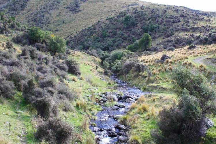 483 School Road Fairlie_11