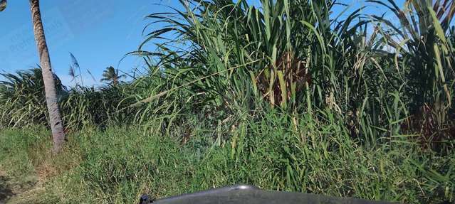 Address withheld Labasa_4