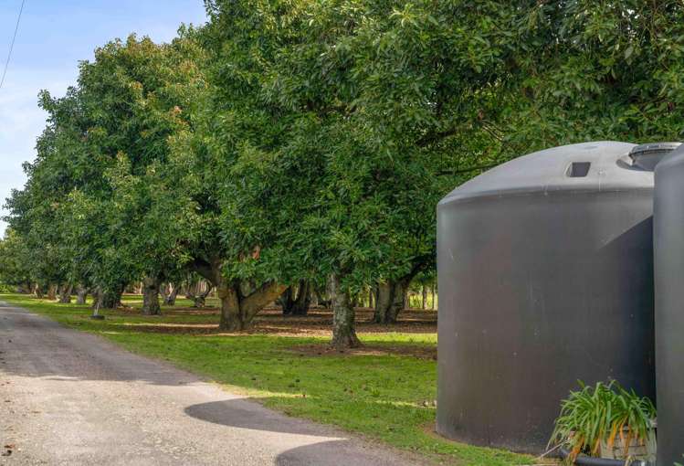 62R Matapihi Station Road Matapihi_42