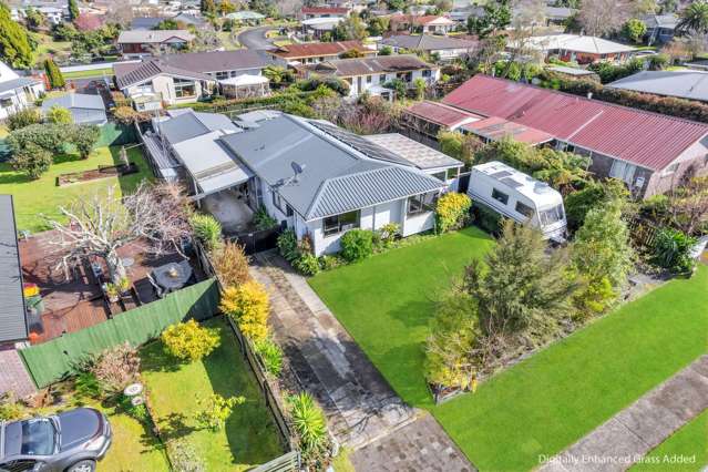 Classic Kiwi Home - Large Site