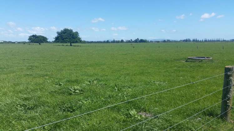 223 No 1 Road Waitoa_13