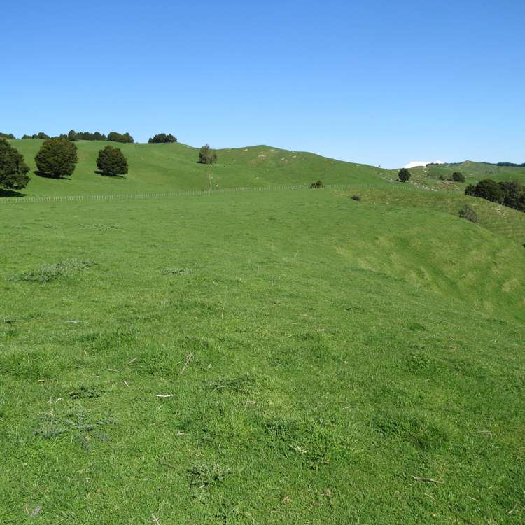 433 Pungapunga Valley Road Taumarunui_18