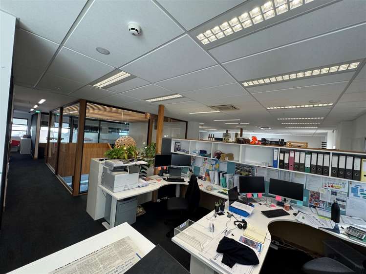 9 Francis Place Te Aro_6