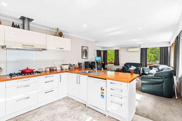 44 Larnach Road Waverley_4