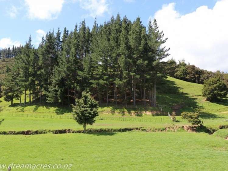 242 Owae Road Russell Surrounds_19