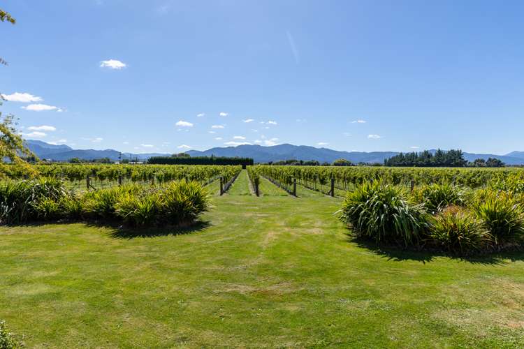 83 Hawkesbury Road Hawkesbury_11