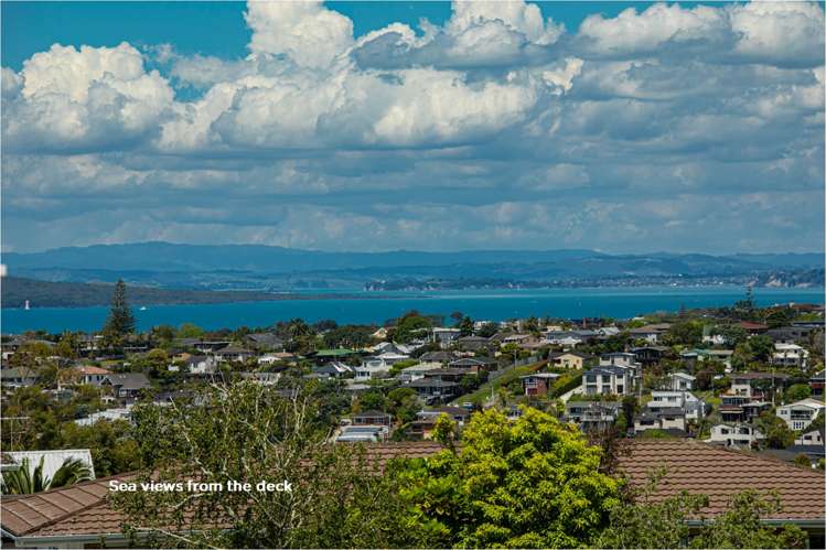 50 and 52 Sunrise Avenue Mairangi Bay_4