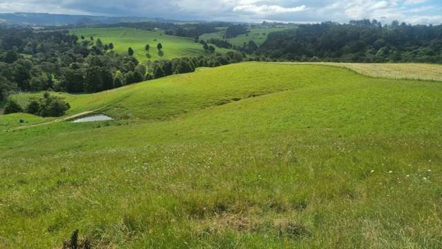 Okokako Road Waimate North_3