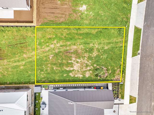 24 Harp Street Morrinsville_1