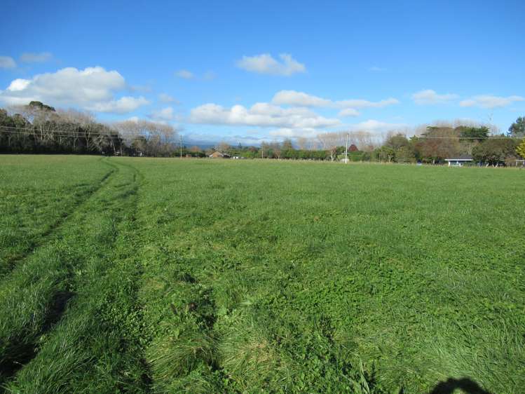 69 Avenue North Road Levin_12