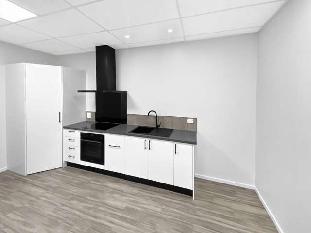 209B Ferguson Street 10930_2