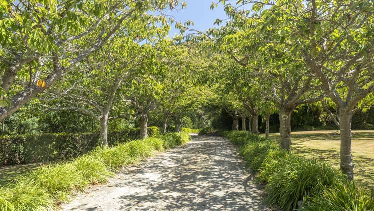 196 Tinui Valley Road Tinui_17