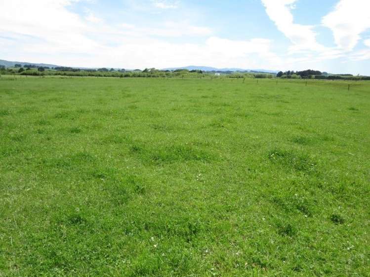 80 Avery Road Pahiatua_5