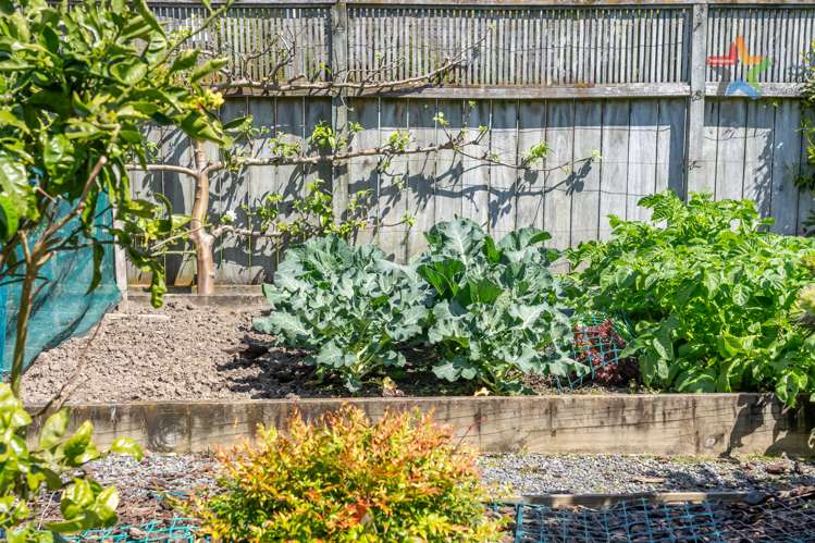 2/63 Pretoria Street Lower Hutt_22