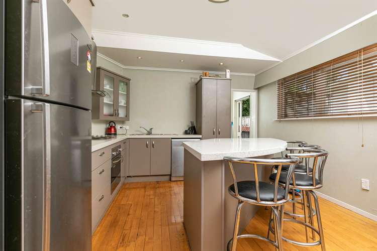 17 Divich Avenue Te Atatu South_5