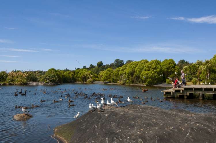 65 Athfield Drive Bethlehem_31