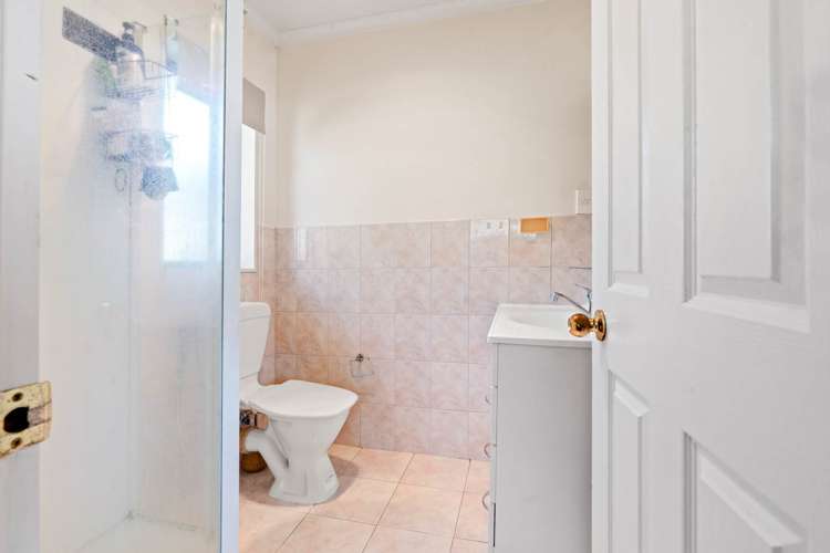 94 Pitt Avenue Clendon Park_12