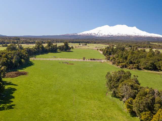 Ruapehu Alpine Estate Ohakune_2