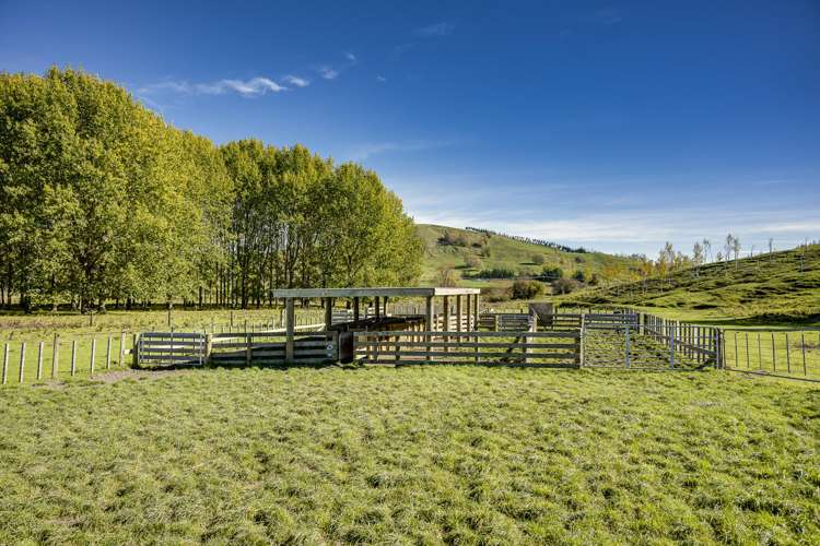 3503 Porangahau Road Porangahau_31