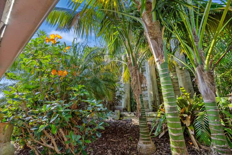 47a Ballymore Drive Pinehill_34