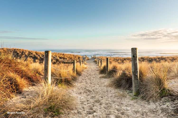 11B Taupo Avenue Mt Maunganui_24