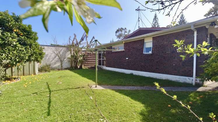 203a Peachgrove Road Claudelands_15