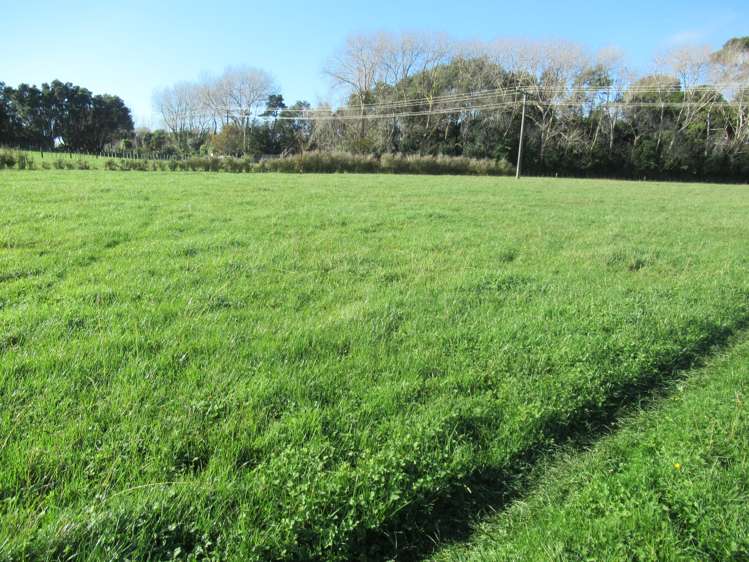 69 Avenue North Road Levin_10