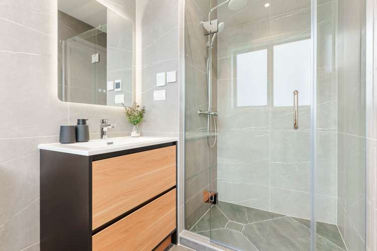 17 Dexter Avenue Mount Eden_20