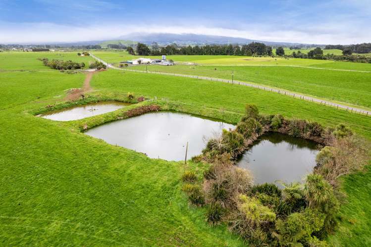 202 Alfred Road Egmont Village_15