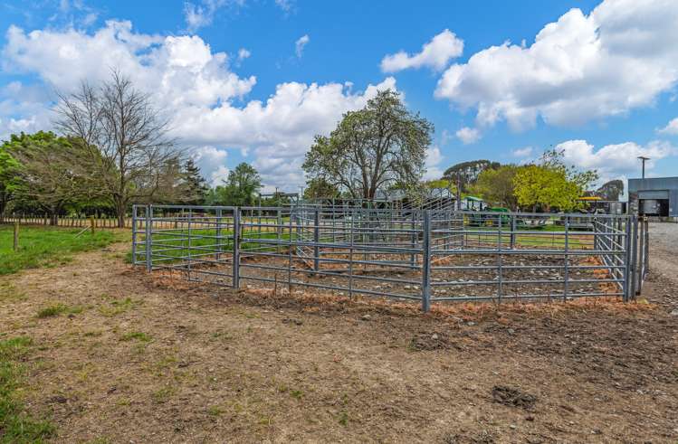 81127 State Highway 2 Pahiatua_6