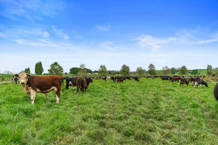 18 Pond Road Matamata_22