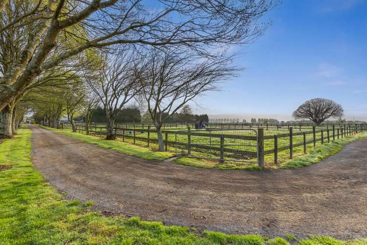 7519 State Highway 27 Matamata_7