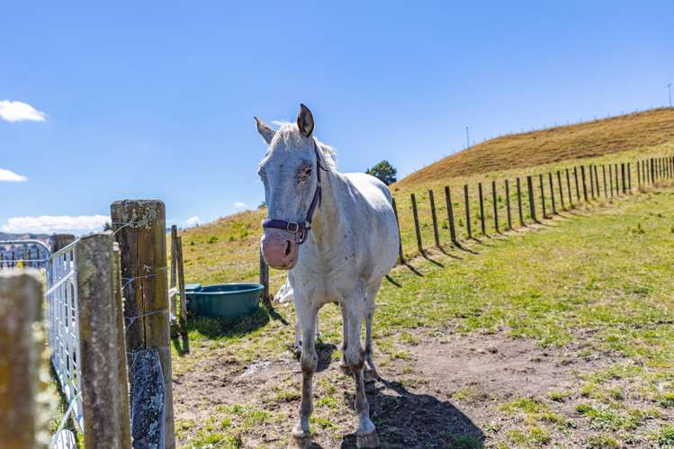12 Pipitiera Street Taumarunui_19