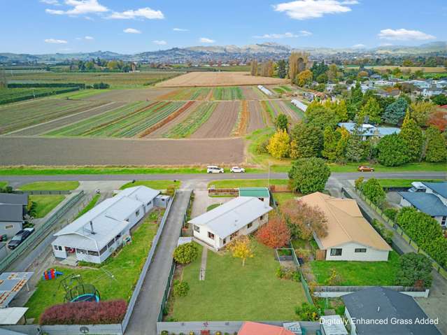 1308 Jellicoe Street Mayfair_3