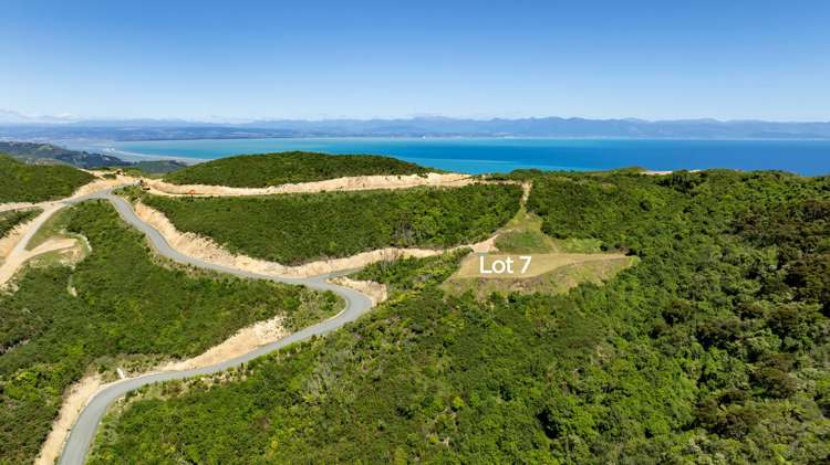 Cable Bay Road Hira_6