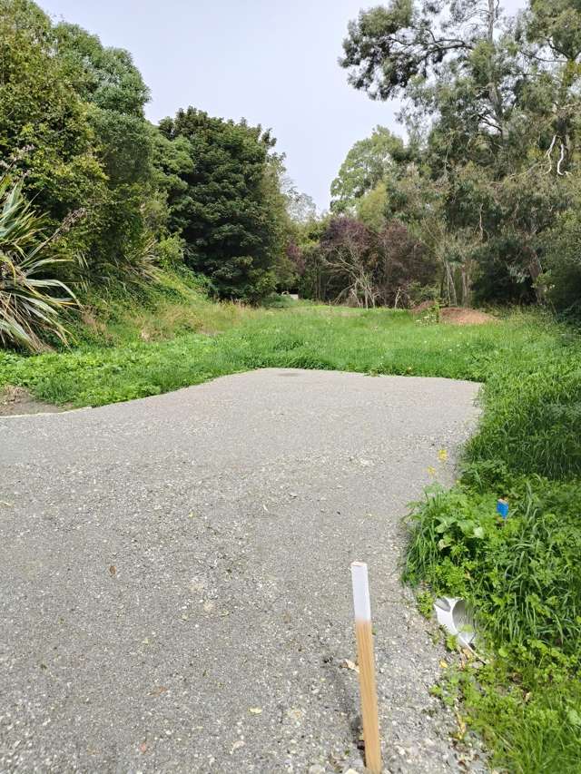 Kakanui Section surrounded by Birdsong