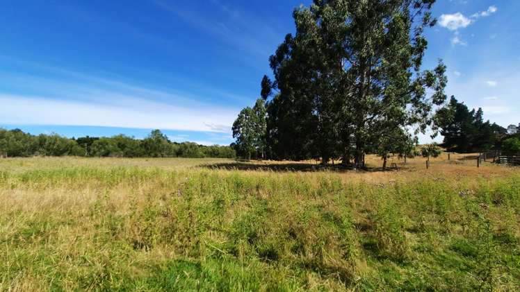 746 Clutha River Road Rongahere_13