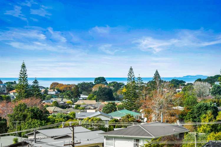 24a Homestead Road Manly_11