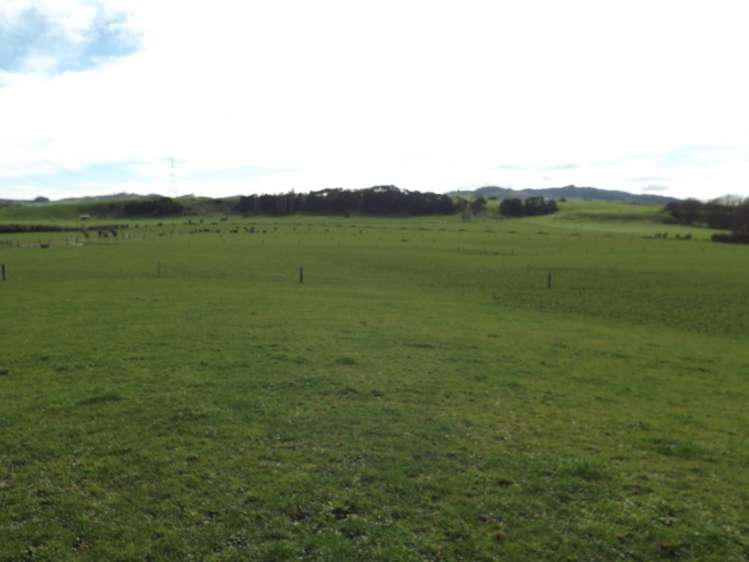 365 Tauhei Road Morrinsville_5