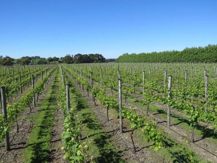 46 Batchelor Ford Road Motueka_3